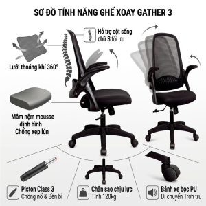Mẫu ghế ngồi xoay Gather 3 linh hoạt cho văn phòng